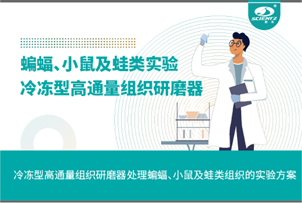冷冻型高通量组织研磨器处理蝙蝠、小鼠及蛙类组织的实验方案