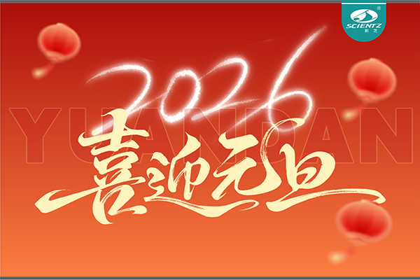 董事长周芳女士新年献词：心有定力，沐光而行