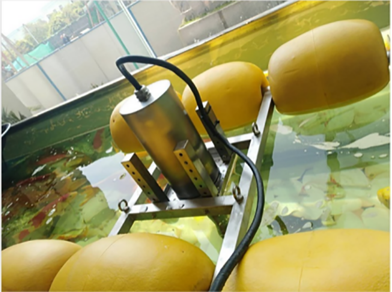 防水型超声波控藻仪