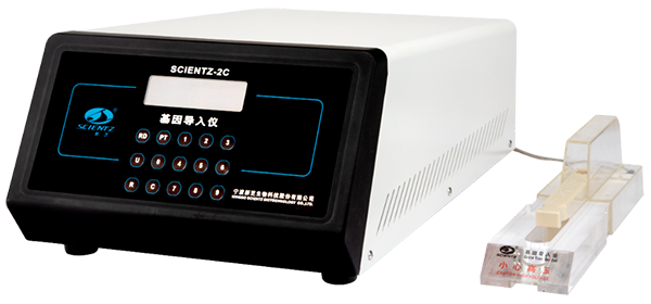 OB视讯解决方案—研发阶段